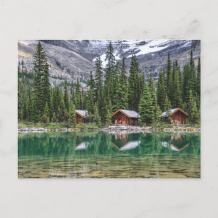 Water   Yoho National Park Canada Postcard