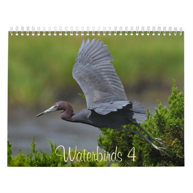 Waterbirds 4 calendar (Cover)