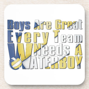 Waterboy Volleyball in Blue and Yellow Coaster