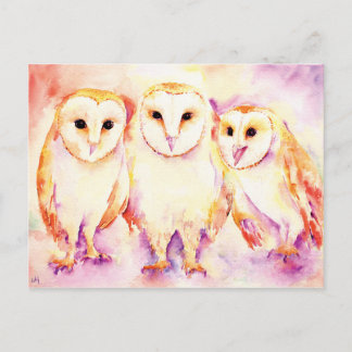 Watercolor 3 barn owls post Card