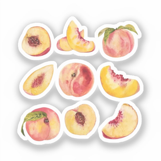  Watercolor And Colourful Fresh Peach Slices, (Front)