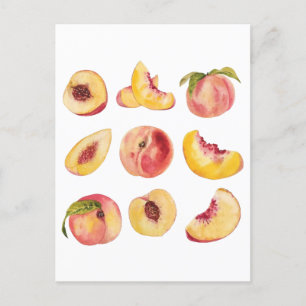 Watercolor And Colourful Fresh Peach Slices, Postcard