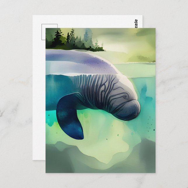 Watercolor Animals, Manatee, Postcrossing  Postcard (Front/Back)