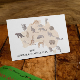 Watercolor Animals of Australia   Postcard