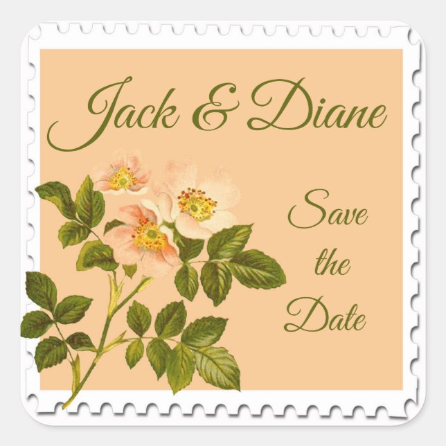 Watercolor Appleblossom Stem Square Sticker (Front)