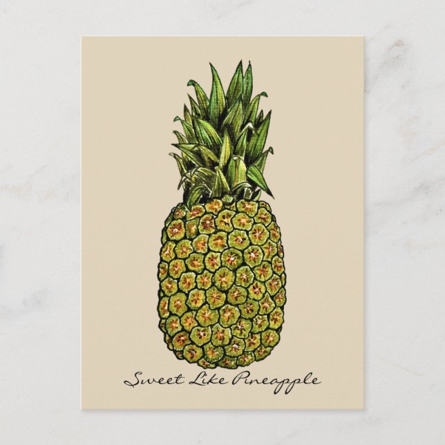 Watercolor Art Cute Pineapple Postcard (Front)