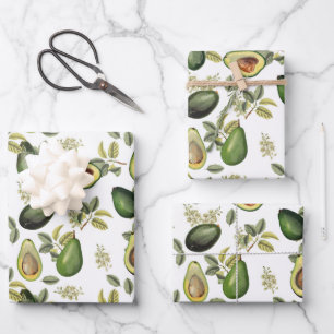 Watercolor Avocado Botanical Pattern Wrapping Paper Sheet