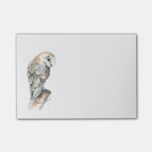 Watercolor Barn Owl Bird Nature Art Post-it Notes