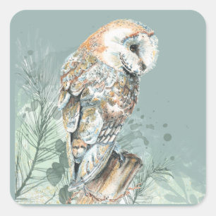 Watercolor Barn Owl Bird Wildlife Nature Art Square Sticker