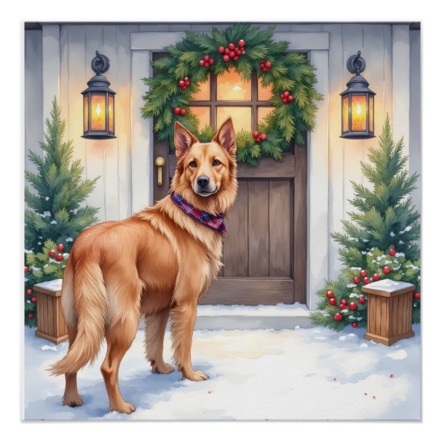 Watercolor Belgian Laekenois Farmhouse Christmas Poster (Front)