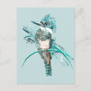 Watercolor  Belted Kingfisher Bird  Animal Postcard