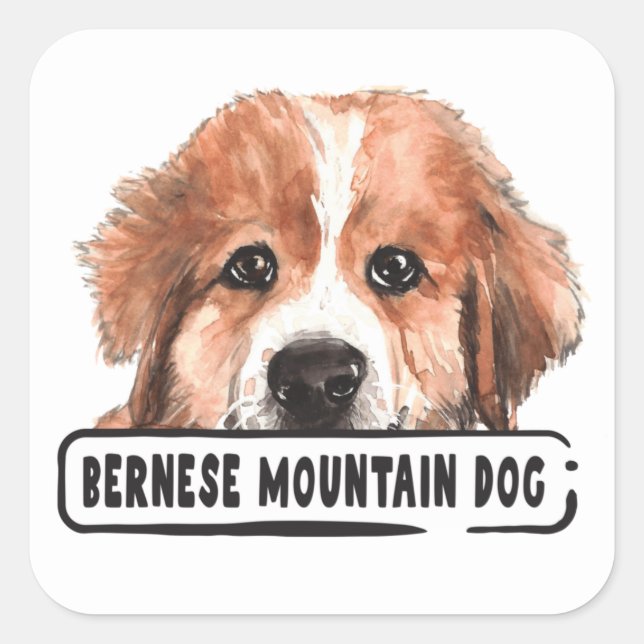 Watercolor Bernese Mountain Dog Square Sticker (Front)