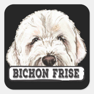 Watercolor Bichon Frise Square Sticker