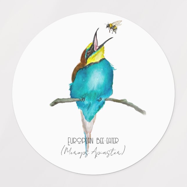 Watercolor bird (European bee-eater) (Design 1)