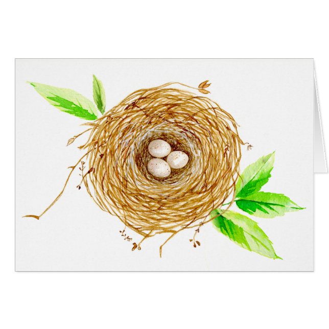 Watercolor Bird Nest with 3 Eggs (Front Horizontal)