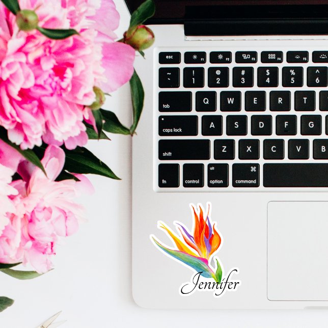 Watercolor Bird Of Paradise Name  (Creator Uploaded)