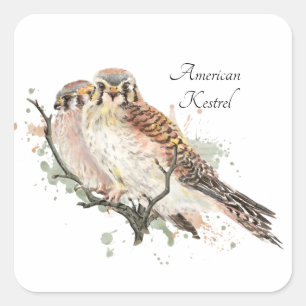 Watercolor Birding Kestrel Couple Square Sticker
