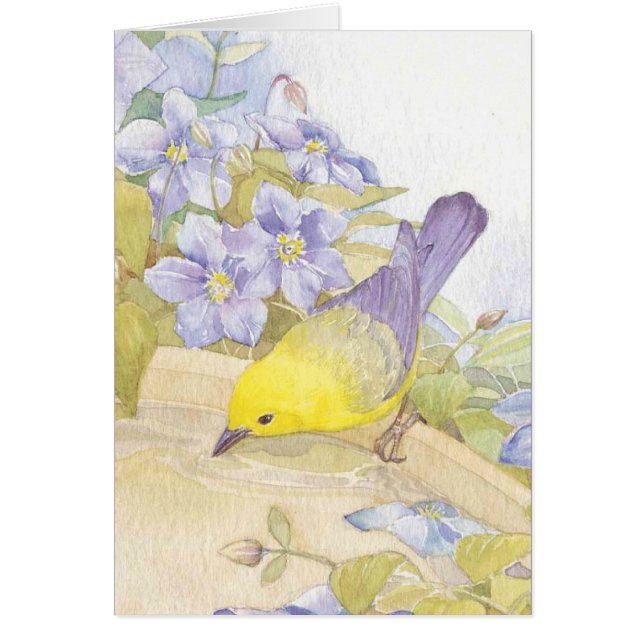 watercolor birds (Front)