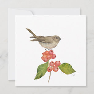 Watercolor birds "Sylvia curruca" Holiday Card