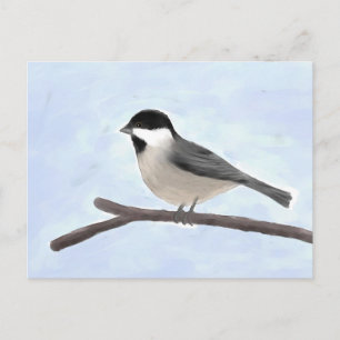 Watercolor Black-capped Chickadee Postcard