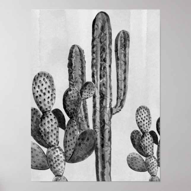 Watercolor Black white Cactus Southwest Poster (Front)