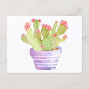 Watercolor Blooming Cactus Plant in the Flower Pot Postcard