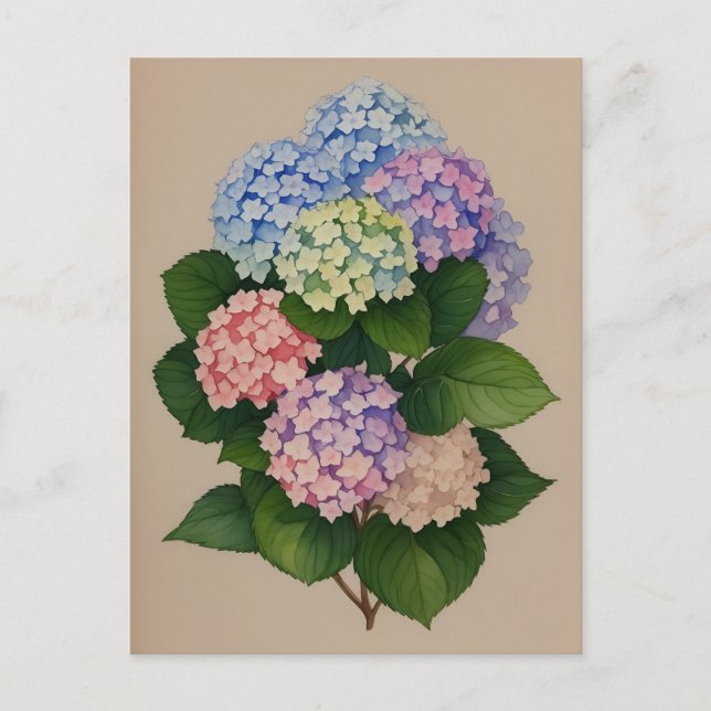 Watercolor Blue And Purple Hydrangea Flower Postcard (Front)