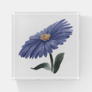 Watercolor Blue aster flower  Paperweight