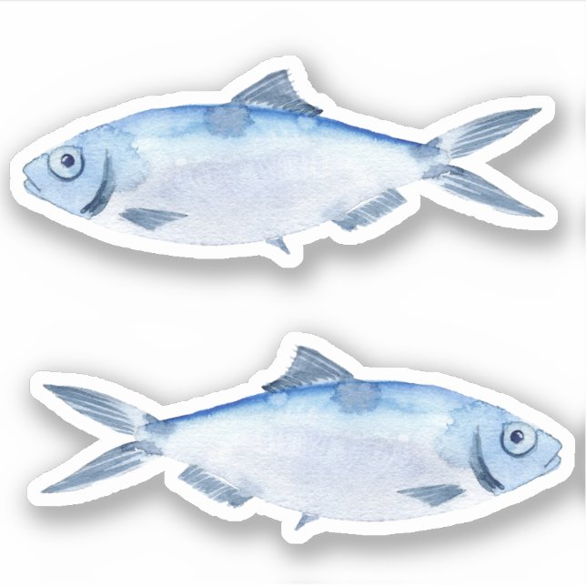 Watercolor Blue Fish Vinyl Sticker (Front)