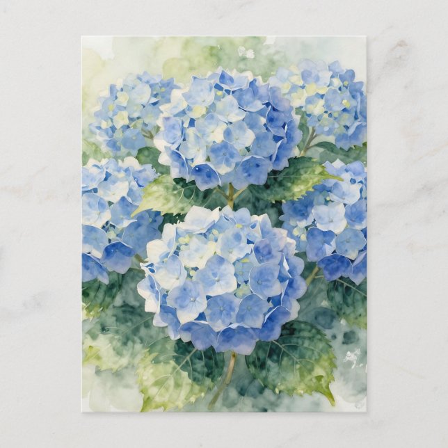 Watercolor Blue Hydrangea Bouquet Postcard (Front)