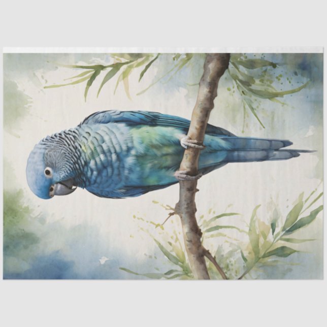 Watercolor Blue Parakeet Eucalyptus Decoupage Tissue Paper (Front)