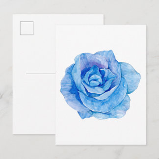  Watercolor blue rose flower illustration Postcard