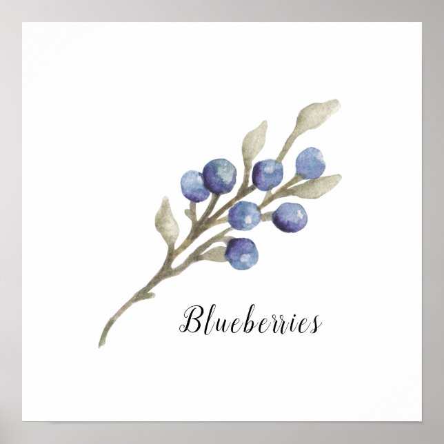 Watercolor Blueberries Botanical Poster (Front)