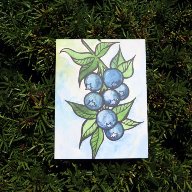 Watercolor Blueberries Postcard (Creator Uploaded)