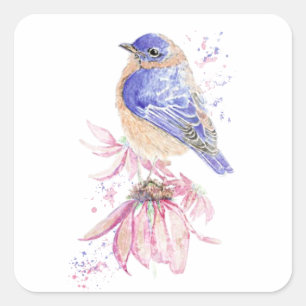 Watercolor  Bluebird Blue Bird Art for the Square Sticker