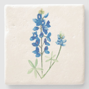 Watercolor Bluebonnet 6 Stone Coaster