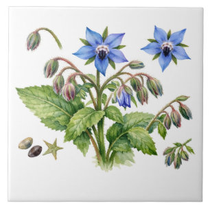 Watercolor Borage Herb Flowers and Leaves Ceramic Tile