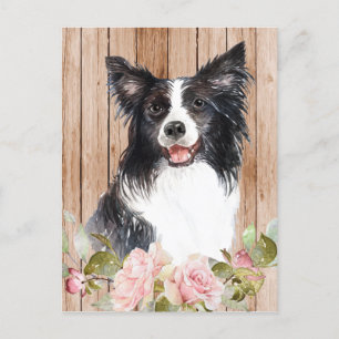 Watercolor Border Collie & Flowers Postcard