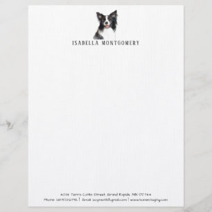 Watercolor Border Collie Letterhead