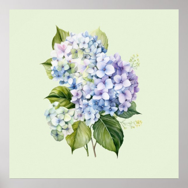 Watercolor Botanical Floral Hydrangea Poster (Front)