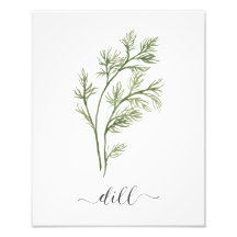 Watercolor Botanical Herb Print Dill