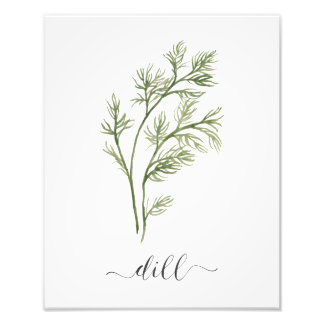 Watercolor Botanical Herb Print Dill