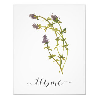 Watercolor Botanical Herb Print Thyme