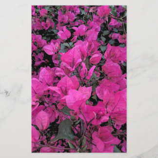 Watercolor-Bougainvillea