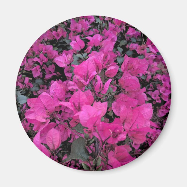 Watercolor-Bougainvillea Magnet (Front)