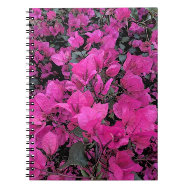 Watercolor-Bougainvillea Notebook (Front)