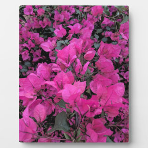 Watercolor-Bougainvillea Plaque