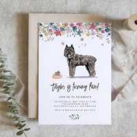 Watercolor Bouvier des Flandres Dog Birthday