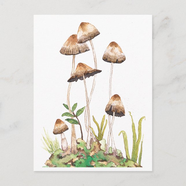 Watercolor Brown Forest Mushrooms Postcard (Front)