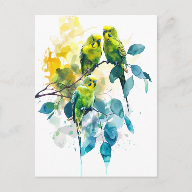 Watercolor Budgerigars in Eucalyptus Tree Postcard (Front)